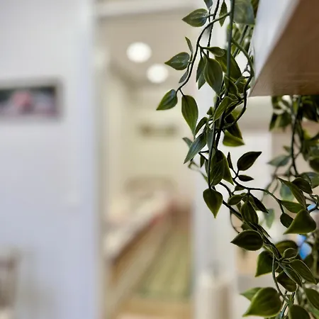 Potoklinica 2 Apartment Sarajevo